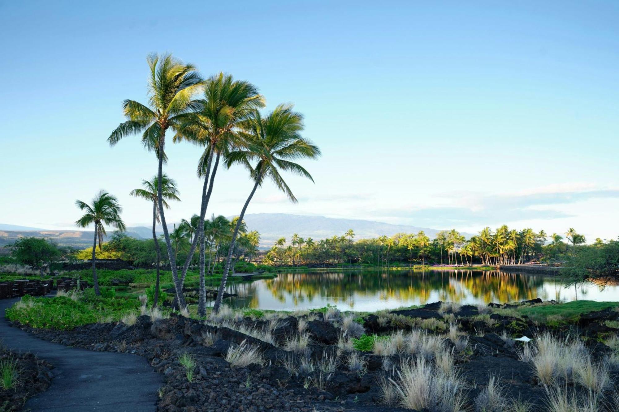 Marriott'S Waikoloa Ocean Club Hotel Exterior photo